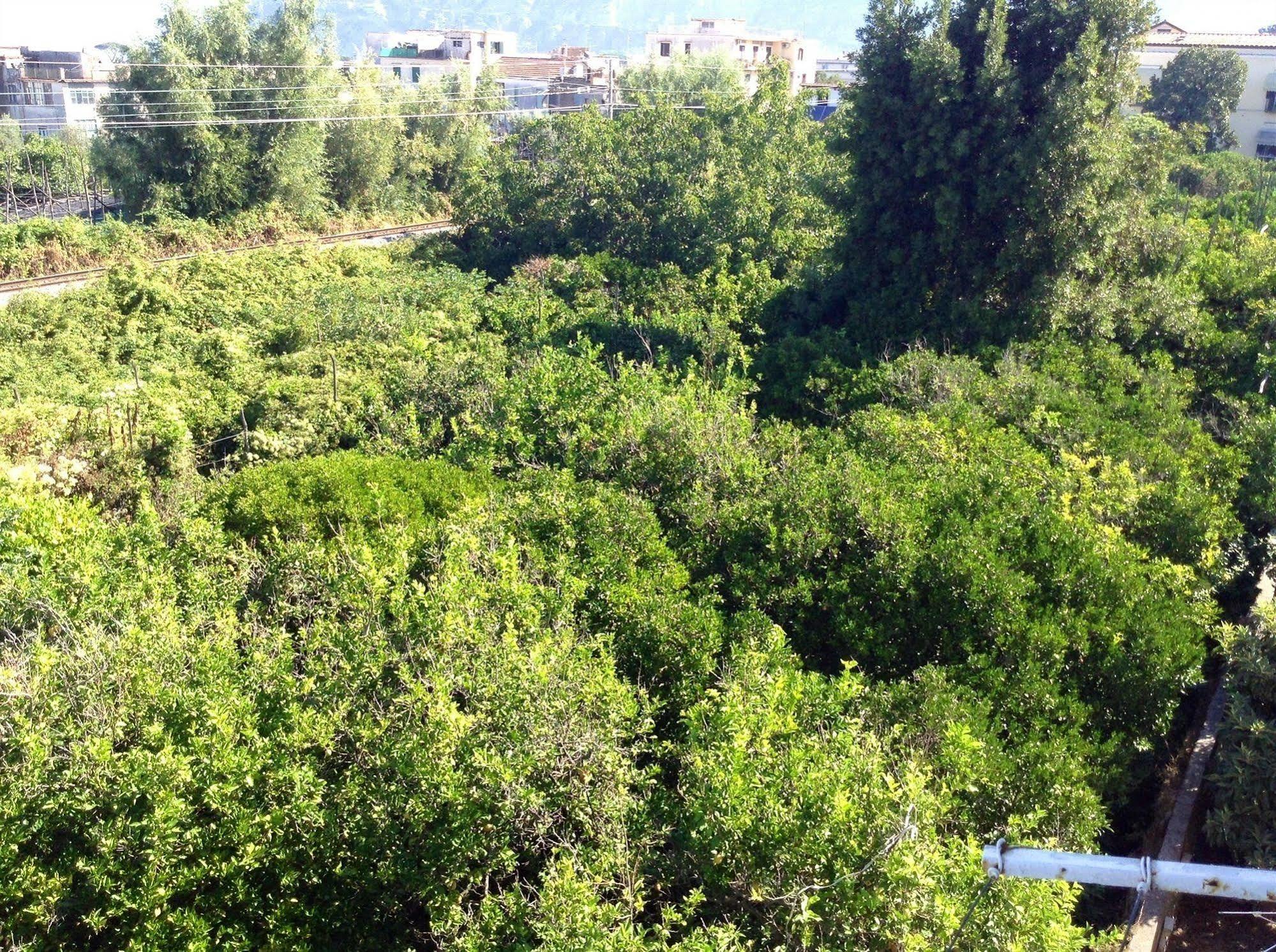 סן אנג'לו B&B Casa Vienna מראה חיצוני תמונה